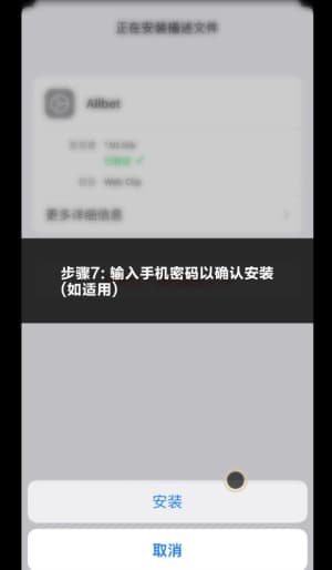 欧博iOS客户端安装流程示意图7